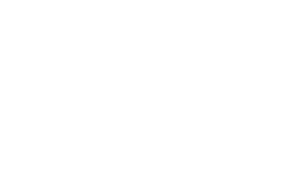 Elfeet